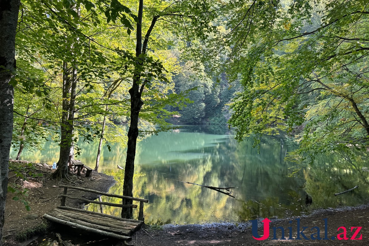 Adı "qara", özü cənnət - FOTOLAR